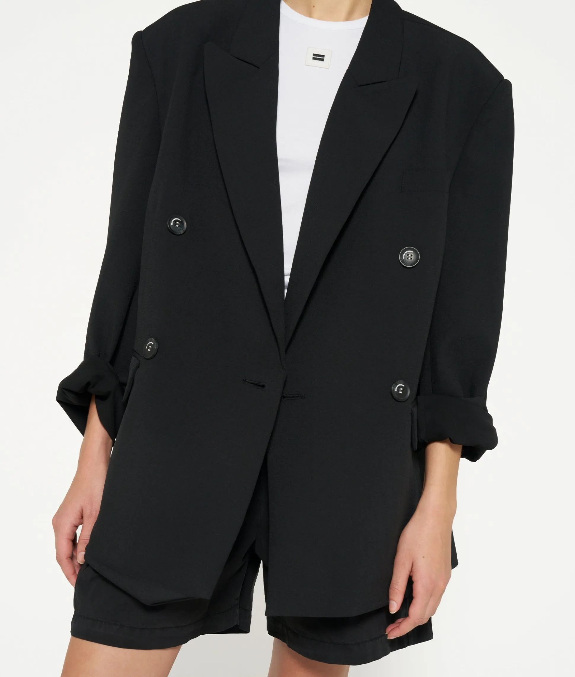 THE PROUD BLAZER
